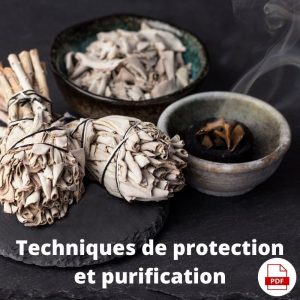Techniques de protection et purification