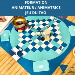 Formation animateur Jeu du Tao : Taoanimateur – Fevrier 2025