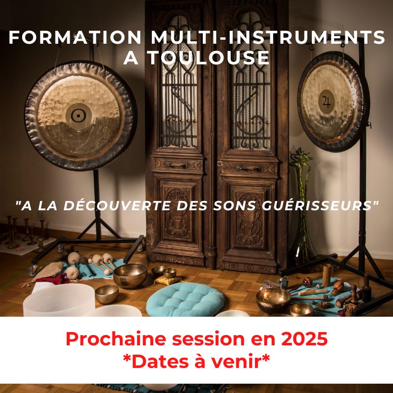 formation multi-instruments a toulouse