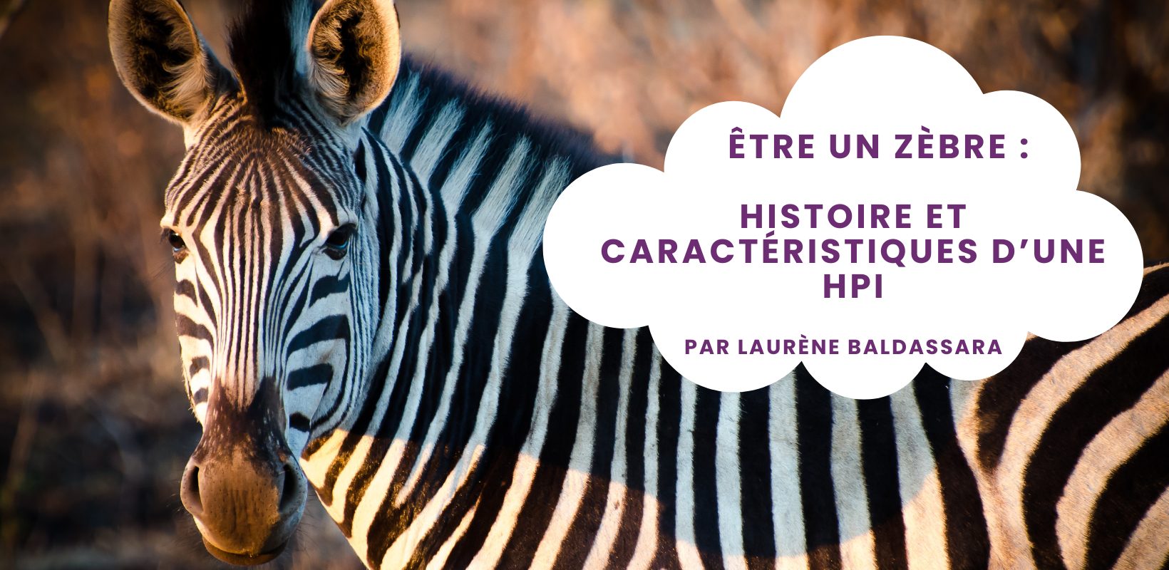 Être un zèbre : Histoire et caractéristiques d’une HPI
